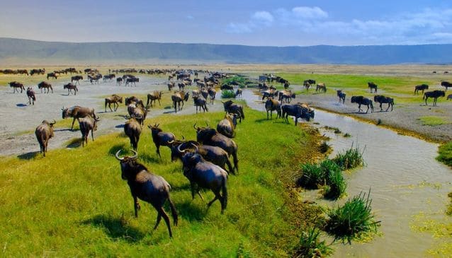 Ngorongoro Conservation Area – Ngorongoro